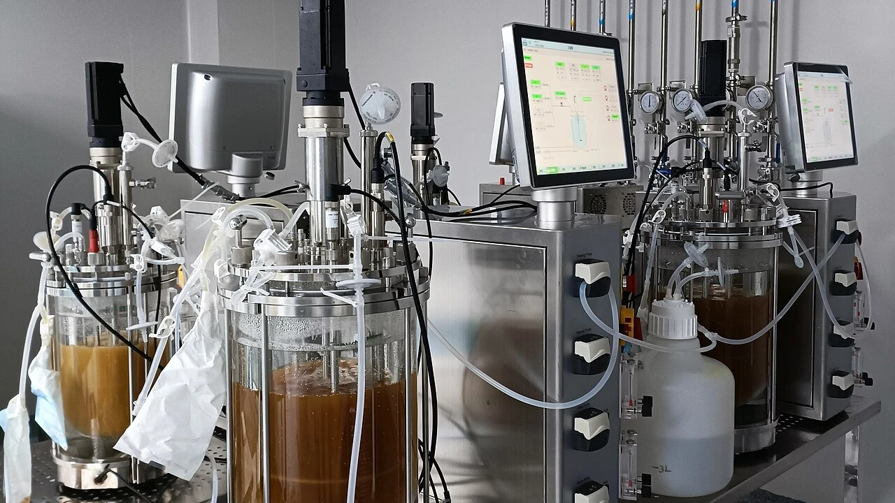 Maximizing Monoclonal Antibody Titers in Fed-Batch CHO Cell Bioreactors