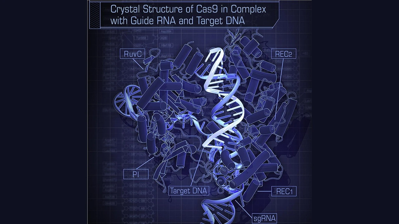 Assessing CRISPR-Cas9 Off-Target Effects: Comparing GUIDE-seq, CIRCLE-seq, and DISCOVER-seq