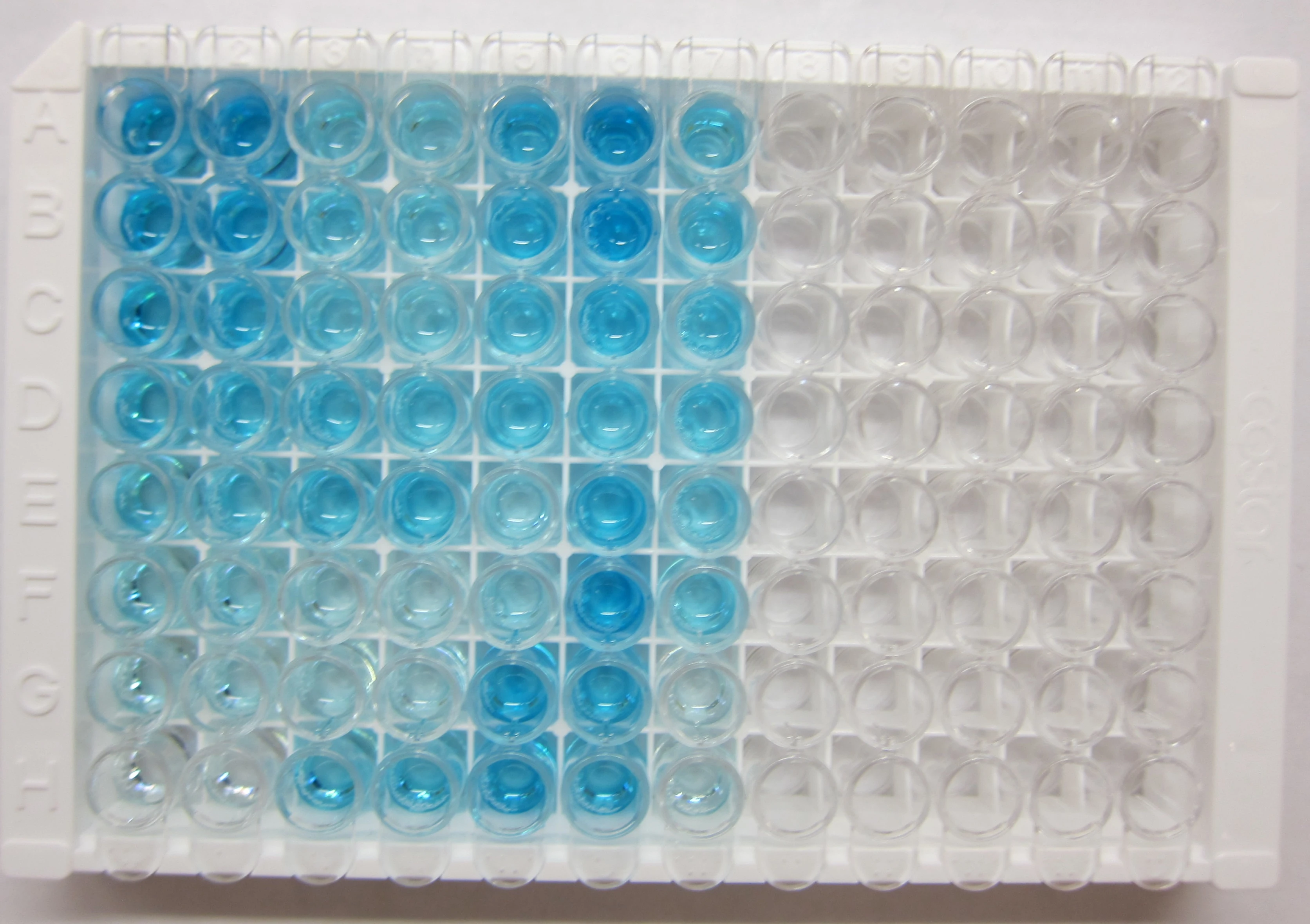 Eliminating Heterophilic Antibody and Rheumatoid Factor Interference in Sandwich ELISA