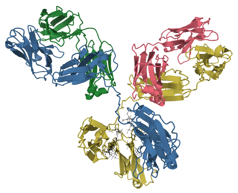 Generative AI in De Novo Antibody Design: Protein Language Models, Epitope Targeting & Wet-Lab Affinity Benchmarks